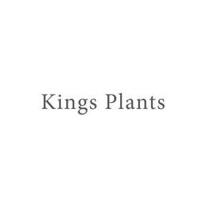 VNFdesign (late_design)さんのアガベショップ　Kings Plants　のロゴへの提案