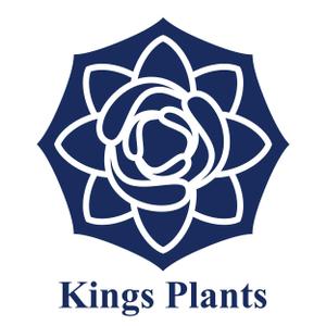 nlh-shuji (nlh-shuji)さんのアガベショップ　Kings Plants　のロゴへの提案