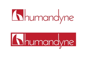 さんの「株式会社ヒューマンダイン」（humandyne）のロゴの作成を依頼します。への提案