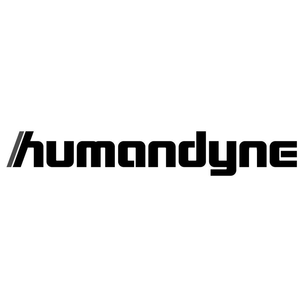 「株式会社ヒューマンダイン」（humandyne）のロゴの作成を依頼します。