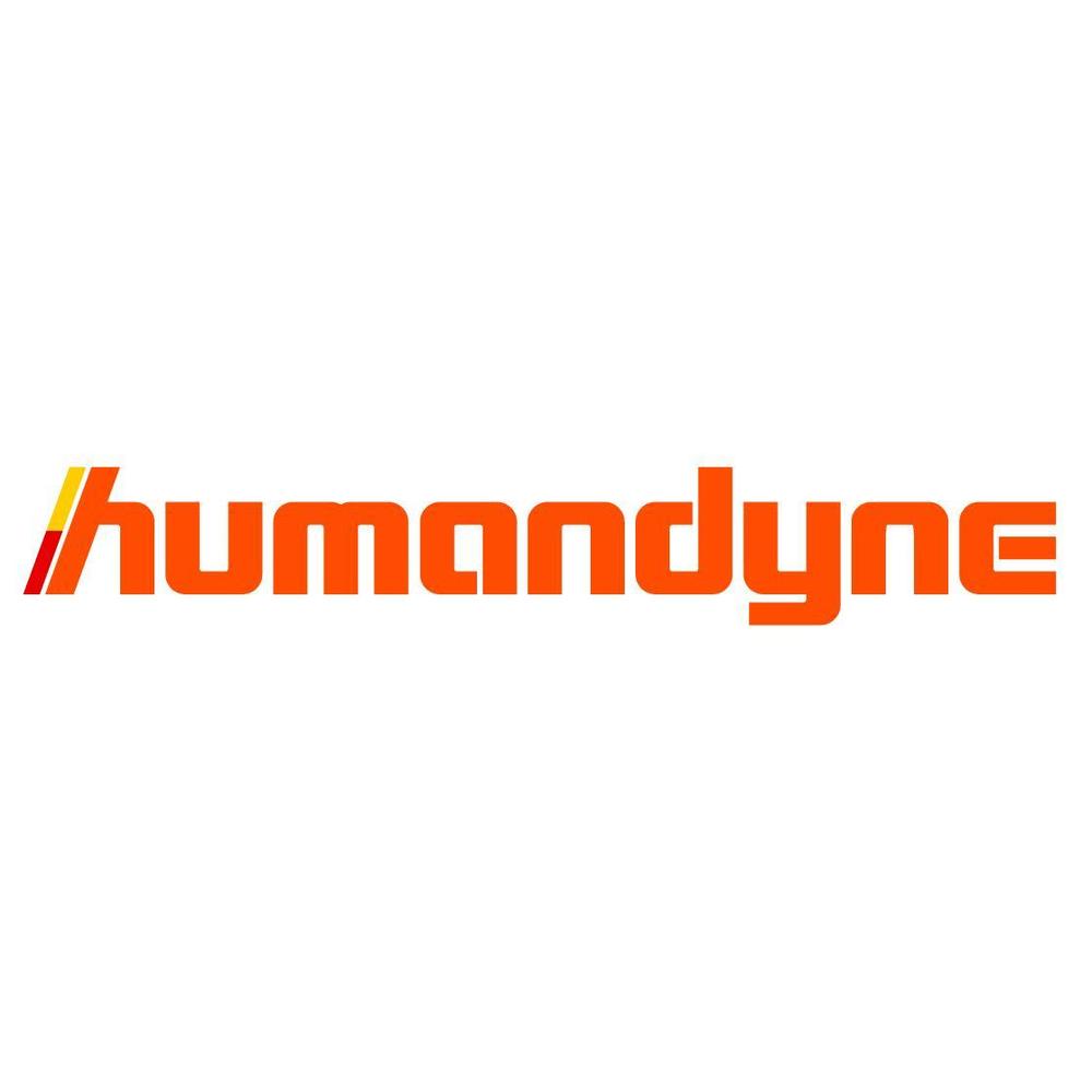「株式会社ヒューマンダイン」（humandyne）のロゴの作成を依頼します。