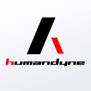 illustyasan (illustyasan)さんの「株式会社ヒューマンダイン」（humandyne）のロゴの作成を依頼します。への提案