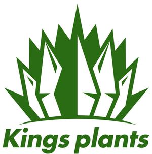 nougo (noguo3)さんのアガベショップ　Kings Plants　のロゴへの提案