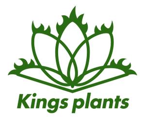 nougo (noguo3)さんのアガベショップ　Kings Plants　のロゴへの提案