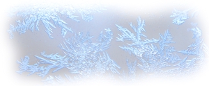 kikicxiiさんの美しい自然　イラスト・または写真加工【氷（または雪）の結晶】への提案