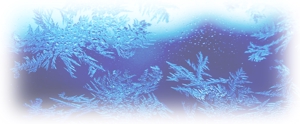 kikicxiiさんの美しい自然　イラスト・または写真加工【氷（または雪）の結晶】への提案