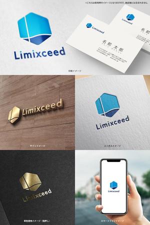 オリジント (Origint)さんの教育事業会社「Limixceed」のロゴへの提案