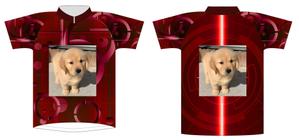 abistyam (abistyam)さんのゴールデンレトリバーのTシャツデザインへの提案