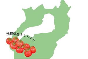 すまいりーちゃん (smily2525)さんのミニトマトのラベルデザインへの提案