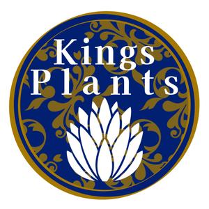 株式会社LINK (Makoto440)さんのアガベショップ　Kings Plants　のロゴへの提案