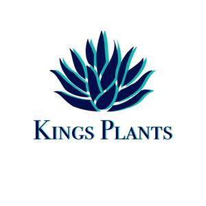 株式会社LINK (Makoto440)さんのアガベショップ　Kings Plants　のロゴへの提案