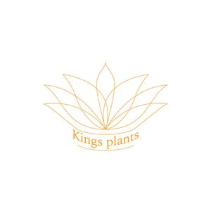 from HY (kimenoji)さんのアガベショップ　Kings Plants　のロゴへの提案