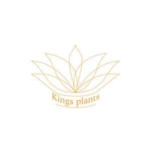 from HY (kimenoji)さんのアガベショップ　Kings Plants　のロゴへの提案