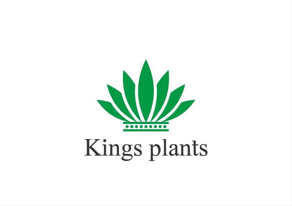 アガベショップ　Kings Plants　のロゴ