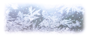 qualityseasonsさんの美しい自然　イラスト・または写真加工【氷（または雪）の結晶】への提案