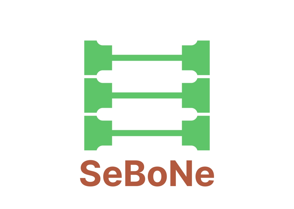 SeBoNe-4.jpg