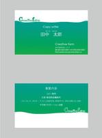 MOMONO (kisarag)さんの名刺デザインへの提案