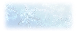 StrayCatさんの美しい自然　イラスト・または写真加工【氷（または雪）の結晶】への提案