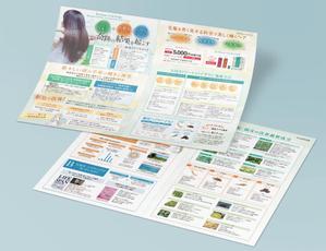 sachidesign (sachidesign)さんのヘアケア新商品の説明用リーフレットへの提案