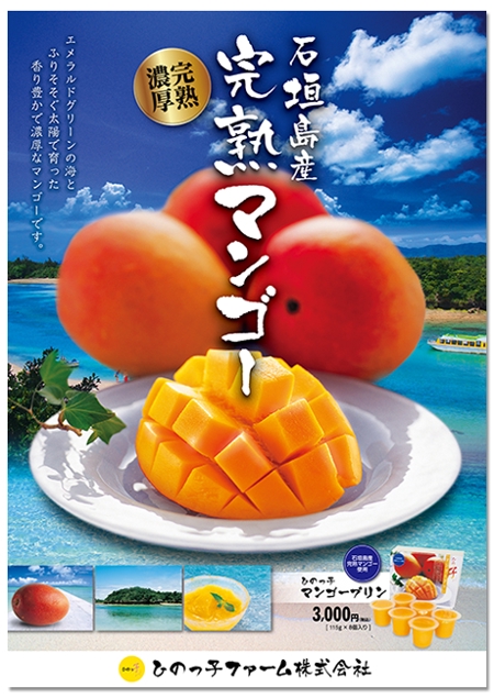 kawasakitchen (kawasakitchen)さんの石垣島産完熟マンゴーを紹介するポスター制作への提案