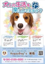 dsb (ds-b)さんの犬のしつけ、飼主にわかりやすく、目を引くチラシの作成への提案