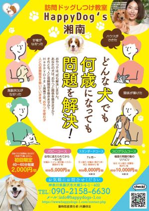 akakidesign (akakidesign)さんの犬のしつけ、飼主にわかりやすく、目を引くチラシの作成への提案