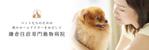 Hide_Y (user_rsd)さんの動物病院のHPやTwitterのヘッダー部分のデザインへの提案