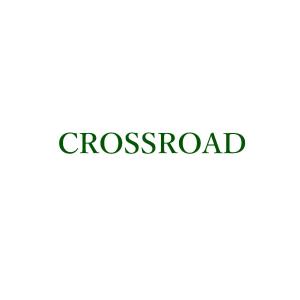 ITSG (it-sg)さんの中古車販売店　株式会社CROSSROADのロゴへの提案