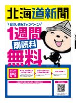 SPYDER (k_spyder)さんの【A4片面】新聞の無料おためし読みＰＲ用チラシへの提案