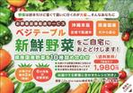 飯田 (Chiro_chiro)さんのお野菜定期配サービス「ベジテーブル」のチラシ作成への提案