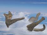 YOU (igayou)さんの雲の写真と猫の合成イラストへの提案