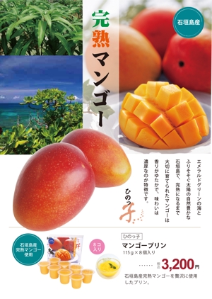 アリタデザイン (arita)さんの石垣島産完熟マンゴーを紹介するポスター制作への提案