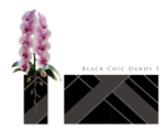 C DESIGN (conifer)さんの☆胡蝶蘭専用の角鉢のデザイン☆　３種１セット(白色、黒色、素材色)　オシャレなインテリア用に！への提案