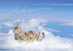やち (yuna_qur)さんの雲の写真と猫の合成イラストへの提案