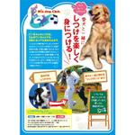 ペンギン ()さんの犬のしつけ教室チラシ作成への提案