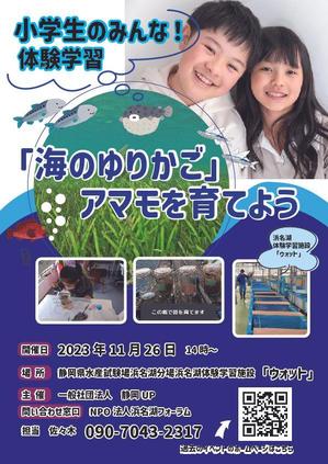 Muko Factory (mukoujima)さんの浜名湖で減少している「アマモ」を育てようイベントチラシへの提案