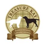 mn_design (mn_design)さんの犬のロゴマーク製作への提案