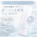 22-dzm (22-dzm)さんの美白ブランド　キャンペーンバナー作成への提案