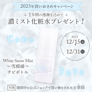 よしかわ (Yoshikawa_0402)さんの美白ブランド　キャンペーンバナー作成への提案