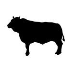 emilys (emilysjp)さんの焼肉店の看板に使用する「牛」のデザインへの提案