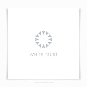 PLUS COLOR (plus_color)さんの美容系サロン運営・美容物販事業会社「ホワイトトラスト株式会社」のロゴマーク作成への提案