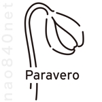 石橋直人 (nao840net)さんの花・園芸用の道具ブランドショップ　「Papavero」の　シンボルマークへの提案