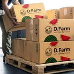 Xlebreknit (Xlebreknit)さんの会社ロゴ「D.Farm」を使用したロゴの作成への提案