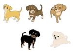 CUBE (cube1)さんの動物キャラクターのイラストへの提案