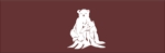 kizuna (kizuna6811)さんのアウトドア商品にプリントする『木に座っているクマ』のイラストへの提案