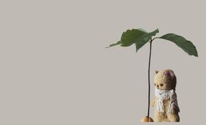 はなのまデザイン (hananoma-design)さんのぬいぐるみ作家のショップカード作成への提案