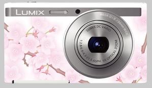 snb ()さんのパナソニックのデジタルカメラ「LUMIX」の外装デザインを募集への提案