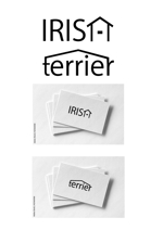 HalColor (ysgoldenbase)さんの住宅メーカーの商品シリーズ名【IRISH】と【TERRIER】の文字作成のご依頼への提案