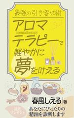 birz (birz)さんのKindle本の表紙デザインをお願いいたします。への提案