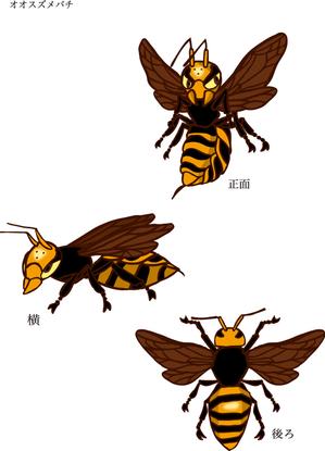 AYUMI  (ayumi_kaku)さんの【教育用】虫をモチーフとしたキャラクター制作　虫の指定ありへの提案